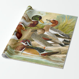 Fin Vintage Anka vid damdekantionen Presentpapper