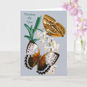 Fin Vintage Blommigt Butterfly Illustration Kort