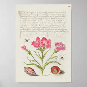 Fin Vintage botanik Illustration Poster