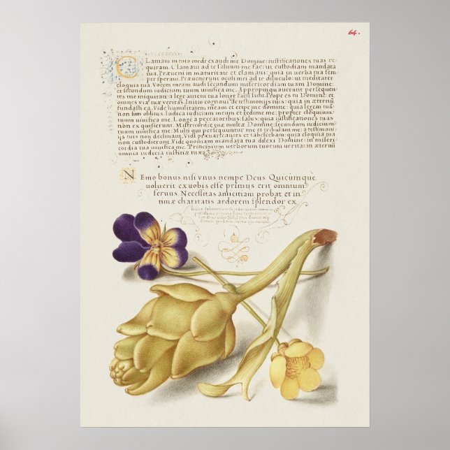 Fin Vintage botaniskt illustration Poster (Framsidan)