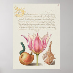 Fin Vintage botaniskt illustration Poster
