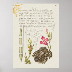 Fin Vintage botaniskt illustration Poster