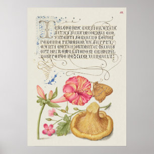 Fin Vintage botaniskt illustration Poster