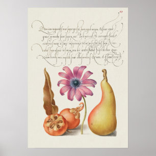 Fin Vintage botaniskt illustration Poster