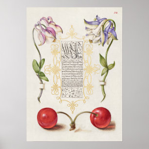 Fin Vintage botaniskt illustration Poster