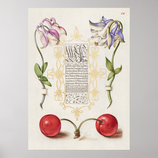 Fin Vintage botaniskt illustration Poster (Framsidan)
