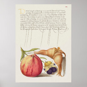 Fin Vintage botaniskt illustration Poster