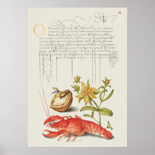 Fin Vintage botaniskt illustration Poster