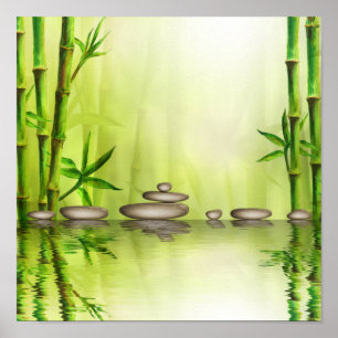 Fin Zen Relaxing Spa Illustration Poster
