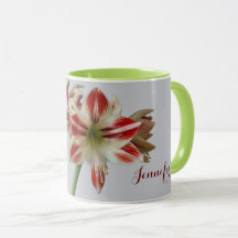 Fina Amaryllis-blommor och anpassningsbar+namn