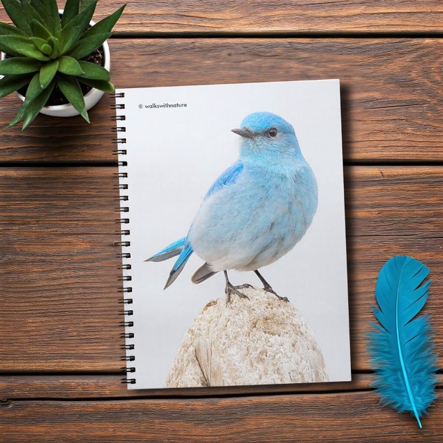 Fina bergsblåfågel vid Beach Anteckningsbok Med Spiral (Beautiful Mountain Bluebird at the Beach Journal Cover Photo)