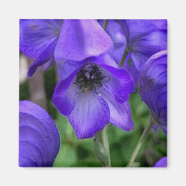 Fina blå Delphiniums Magnet