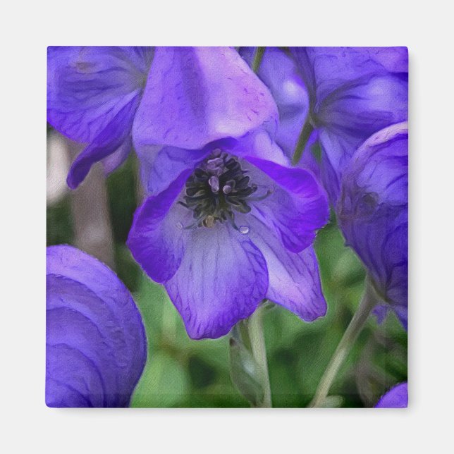 Fina blå Delphiniums Magnet (Framsidan)