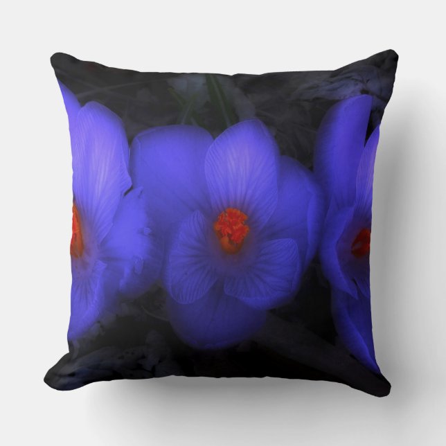 Fina blå Lila Crocus Blooms Kudde (Framsida)