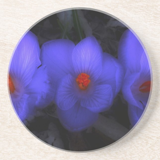 Fina blå Lila Crocus Blooms Underlägg (Framsidan)