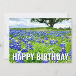 Fina blånät Photo Grattis på födelsedagen Card