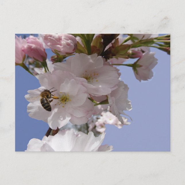 Fina Blommar med Bee DIY-vykort Vykort (Framsida)