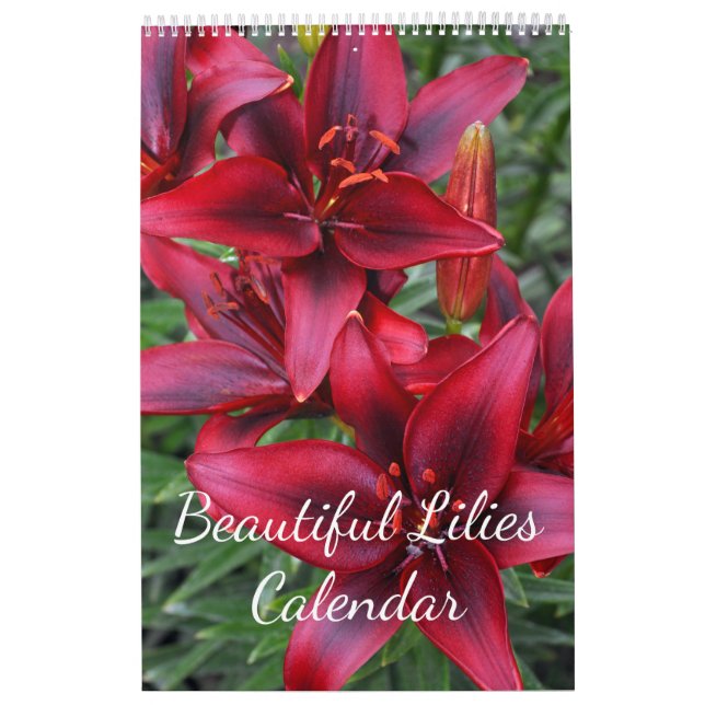Fina blommigtar kalender (Omslag)