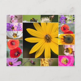 Fina blommor för vår och sommarkänslor! vykort