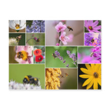 Fina blommor för vår och sommarkänslor!