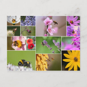 Fina blommor för vår och sommarkänslor! vykort