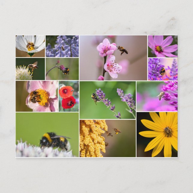 Fina blommor för vår och sommarkänslor! vykort (Framsida)