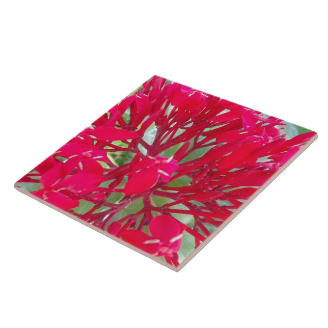 Fina blommor i Fantastisk Tile Kakelplatta (Sidan)