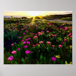 Fina blommor i vilden poster