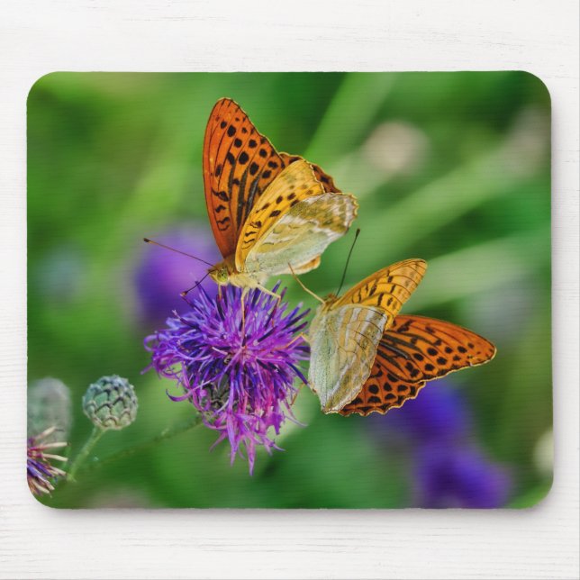 Fina Butterflies Musmatta (Framsidan)