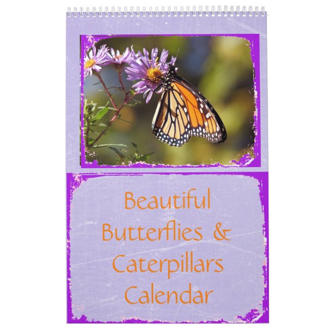 Fina Butterflies och Caterpelars kalender (Omslag)