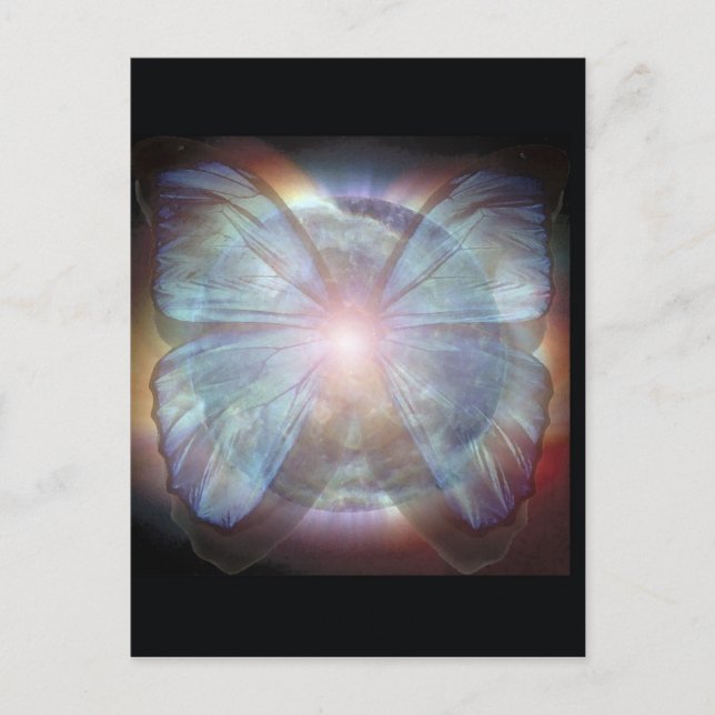 Fina Butterflies Vykort (Framsida)