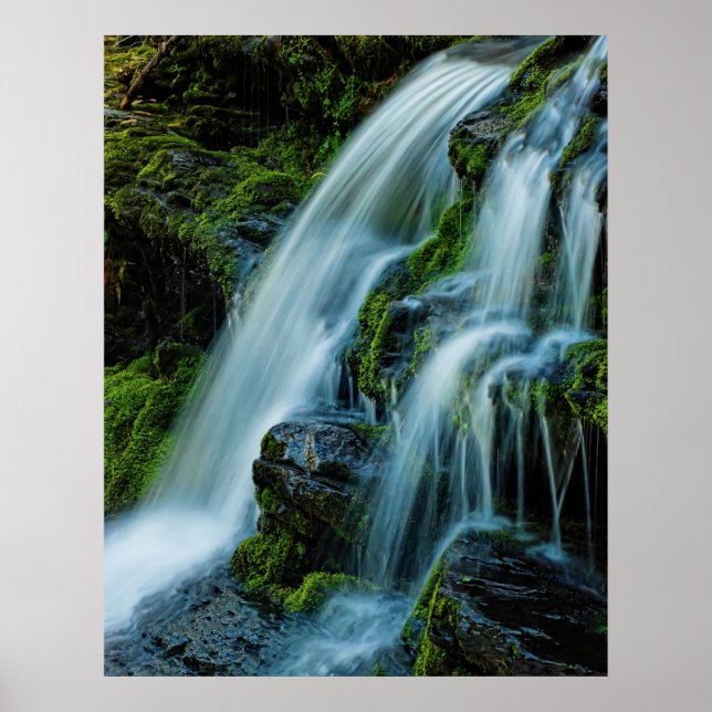 Fina Cascade Waterfall Poster (Framsidan)
