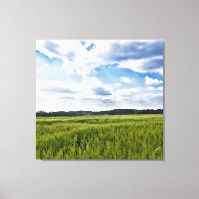 Fina Cornfields Canvastryck (Framsida)