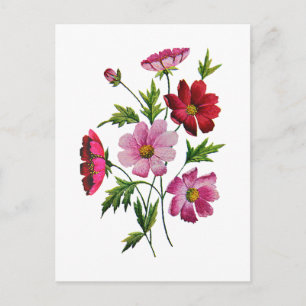 Fina Cosmos Flowers i Crewel Embroidery Vykort