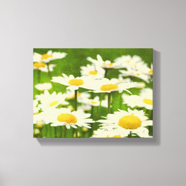 Fina Daisy Flowers Canvastryck (Framsida)