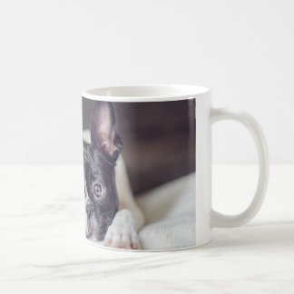 Fina den Boston terrieren Kaffemugg