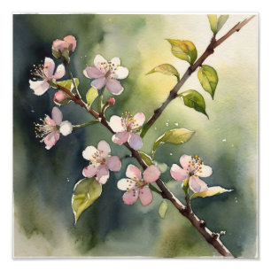 Fina drömmar: Blommarna Cherry Watercolor Fototryck