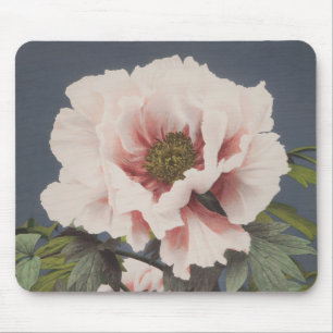 Fina fotomekaniska avtryck av Peony Flowers Musmatta