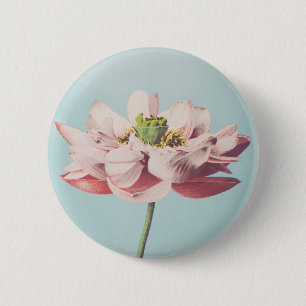 Fina fotomekaniska utskrifter av Lotus Flowers Knapp