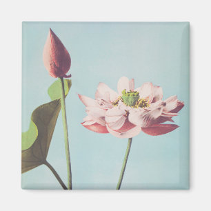 Fina fotomekaniska utskrifter av Lotus Flowers Magnet