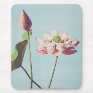 Fina fotomekaniska utskrifter av Lotus Flowers Musmatta