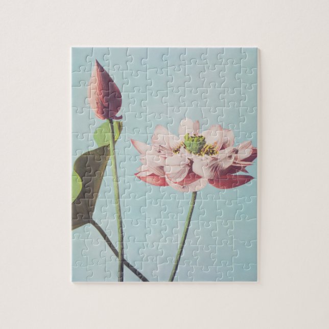 Fina fotomekaniska utskrifter av Lotus Flowers Pussel (Vertikal)