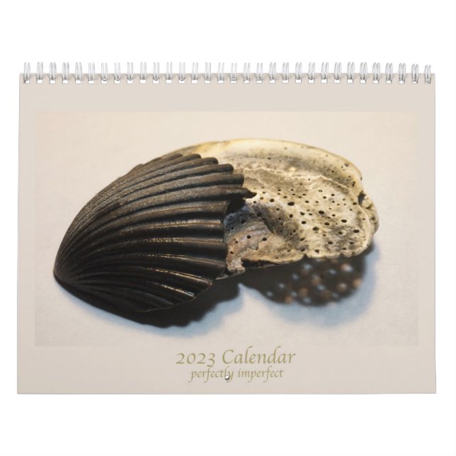 Fina foton av bruten snäckor-kalender kalender (Omslag)