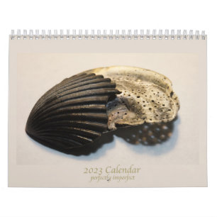 Fina foton av bruten snäckor-kalender kalender