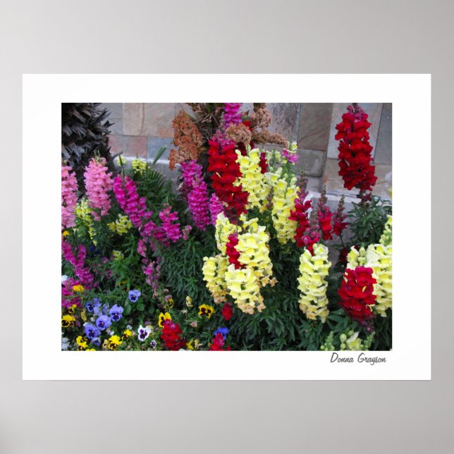 Fina Garden Poster Skriv ut (Framsidan)