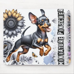 Fina Hundraser/Miniature Pinscher Hund Musmatta