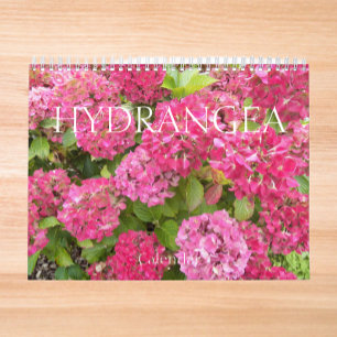 Fina Hydrangea Blooms Blommigt Fotografi Kalender