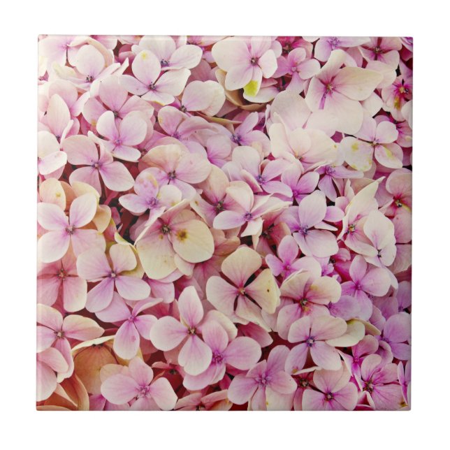 Fina Hydrangea Flowers Kakelplatta (Framsidan)