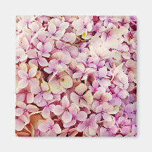 Fina Hydrangea Flowers