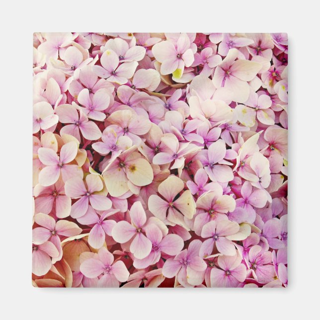 Fina Hydrangea Flowers Magnet (Framsidan)